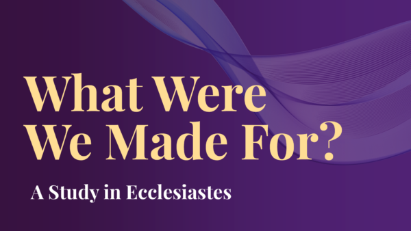 What We Were Made For? Ecclesiastes Overview Image