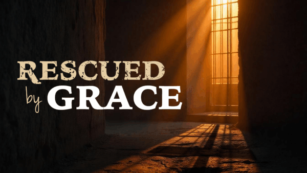 The Gospel of Grace Image
